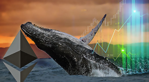 Ảnh của Đào sâu vào danh mục đầu tư của những con cá voi Ethereum lớn nhất thế giới
