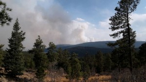 Picture of Northern New Mexico villagers prepare to flee as winds whip wildfire