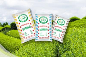 Ảnh của Chứng khoán APG đăng ký mua 3 triệu cp DDV