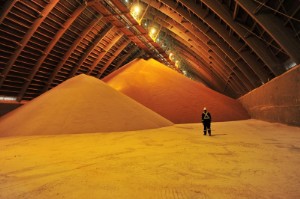 Picture of Exclusive - Nigeria buys emergency Canadian potash to replace lost Russian supply