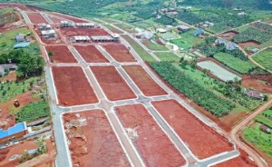 Ảnh của Hậu họa từ loạn phân lô bán nền