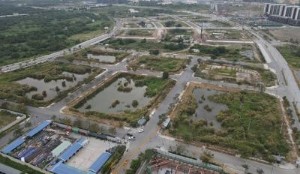 Ảnh của Đấu giá, đặt trước và bỏ… cọc: Luật đã có!