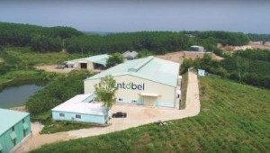 Ảnh của Entobel gọi vốn thành công 30 triệu USD từ quỹ Mekong Enterprise Fund IV và Dragon Capital