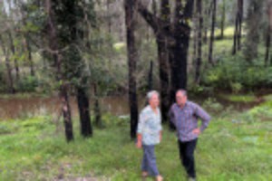 Picture of After fires and floods, climate-conscious independents could determine Australian election