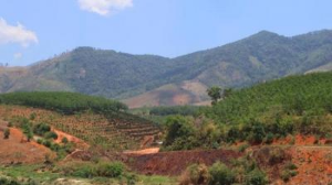 Ảnh của Vi phạm hành chính trong lĩnh vực đất đai: Mức phạt tiền cao nhất 1 tỷ đồng