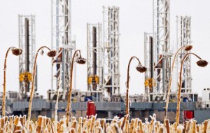 Picture of Oil Up as Economic Growth Worries Continue