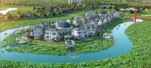 Ảnh của TIG: Thị giá hồi phục, Chủ tịch muốn mua thêm 1 triệu cp