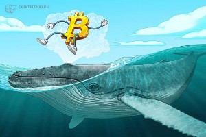 Picture of Small Bitcoin whales may be keeping BTC price from 'capitulation' — analysis