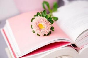 Ảnh của 31/05: Đọc gì trước giờ giao dịch chứng khoán?