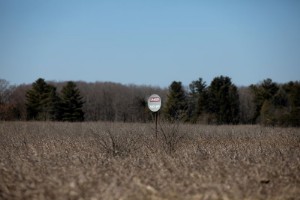 Picture of U.S. Interior must weigh climate impacts of oil, gas leasing -settlement