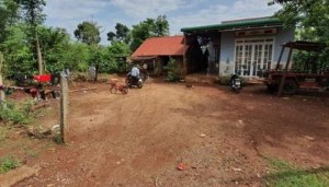 Ảnh của Sốt đất đi qua, buôn làng xót xa: Thiếu hiểu biết và nhẹ dạ, buôn làng mắc bẫy đầu nậu?