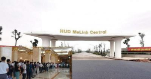 Ảnh của Nguy thổi giá, bỏ cọc sau những phiên đấu giá đất ven đô cao ngất