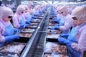 Ảnh của MPC - Triển vọng ngành vẫn đang rất tích cực