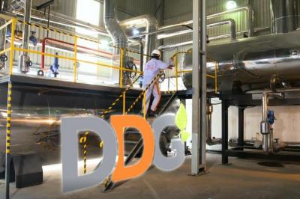 Ảnh của Con Tổng Giám đốc DDG đăng ký mua 1 triệu cp