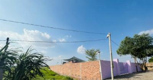 Ảnh của 'Rối' việc cấp sổ đỏ đất nông nghiệp tự tách thửa