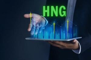 Ảnh của Tiếp tục duy trì diện cảnh báo với cổ phiếu HNG