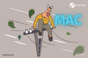 Ảnh của MAC: Cổ đông lớn “đu đỉnh”?