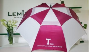 Ảnh của Tùng Trí Việt tiếp tục đăng ký mua 5 triệu cp TVC