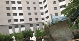 Ảnh của Hàng nghìn căn hộ tái định cư bỏ hoang
