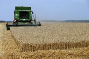 Picture of War-Strained Wheat Market Faces Moment of Truth