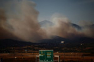 Picture of Wildfire rages near Athens; homes damaged, hospital evacuated