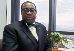 Picture of AfDB seeks to increase concessional funding to fragile African economies