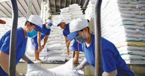 Ảnh của Gạo Thái Lan 'soán ngôi' bán giá cao nhất thế giới của Việt Nam