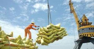 Ảnh của Thiếu thương hiệu: Gạo Việt đánh mất cơ hội tại thị trường EU