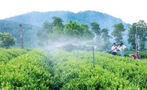 Ảnh của UBND tỉnh Thái Nguyên đấu giá cổ phần một công ty vật tư nông nghiệp, lượng đăng ký mua ồ ạt