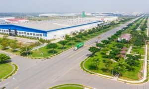 Ảnh của Chính phủ yêu cầu kiểm soát chặt chẽ việc chuyển đổi đất trồng lúa sang làm khu công nghiệp