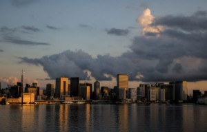 Picture of Japan's JOGMEC to support 'blue' hydrogen, ammonia projects