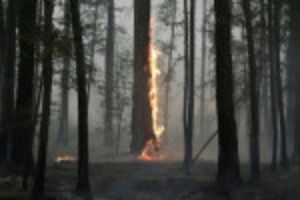 Picture of Why Arctic wildfires are releasing more carbon than ever