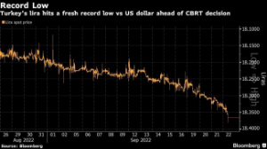 Picture of Turkish Lira Weakens to Record Low Ahead of Rates Meeting