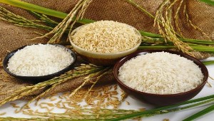 Ảnh của Giá gạo Việt Nam tăng mạnh, xuất khẩu thu về gần 3 tỷ USD