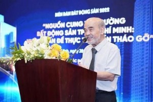 Ảnh của GS Đặng Hùng Võ chỉ nguyên nhân nguồn cung BĐS suy giảm