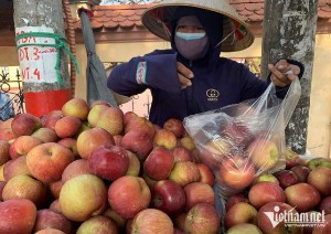 Ảnh của ‘Bóc giá’ trái cây Trung Quốc tại chợ đầu mối