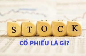 Ảnh của Khối tự doanh công ty chứng khoán ngày 7/11: Tâm điểm VPB trong phiên Vn-Index 