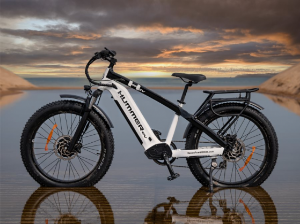 Ảnh của Xe đạp điện đạt vận tốc tối đa 45km/h có giá siêu khủng