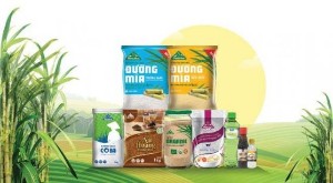 Ảnh của TTC Sugar (SBT) chốt danh sách cổ đông phát hành 44 triệu cổ phiếu trả cổ tức