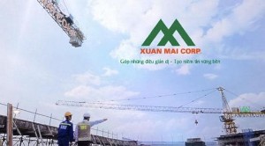 Ảnh của Chủ tịch HĐQT mạnh tay gom cổ phiếu, Xuân Mai Corp (XMC) từng 