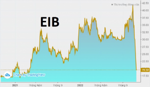 Ảnh của Cổ phiếu EIB mất gần 54% sau 3 tuần lập đỉnh