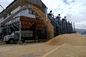 Picture of Ukraine sees less than 3 million tonnes of grain leaving in November - minister