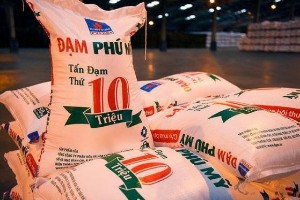 Ảnh của DPM báo Nhà máy Đạm Phú Mỹ cán đích chỉ tiêu năm 2022