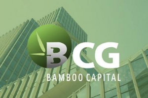 Ảnh của BCG giải trình cổ phiếu tăng trần 5 phiên liên tiếp