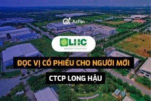 Ảnh của Đọc vị cổ phiếu cho người mới - CTCP Long Hậu