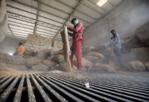 Picture of India's wheat stocks to fall further but sufficient, government says