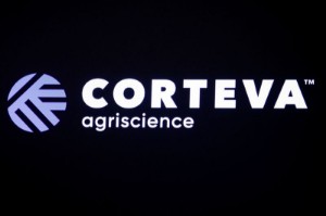 Picture of Seedmaker Corteva cuts U.S. jobs while exiting Russia