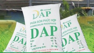 Ảnh của Sớm vượt 83% kế hoạch lợi nhuận, DAP VINACHEM (DDV) sắp chi tạm ứng cổ tức bằng tiền