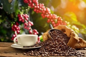 Ảnh của Giá cà phê hôm nay 14/1: Tăng mạnh 1.400 đồng/kg
