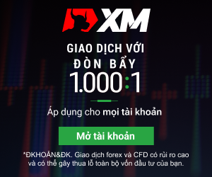 XM don bay 1:1000 main right